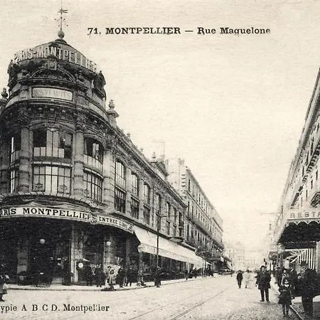 Duplex Plein Centre De Montpellier